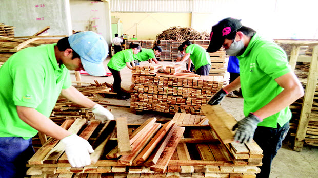  Ngành gỗ: Nỗ lực hoàn thành mục tiêu